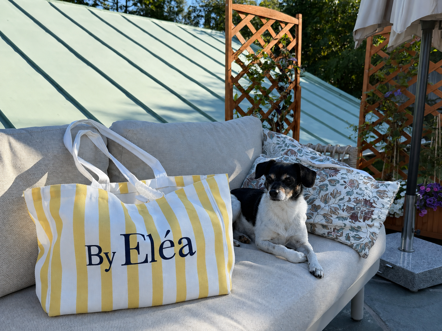 The Tote Bag